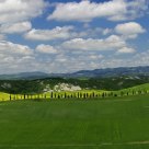 Leonina